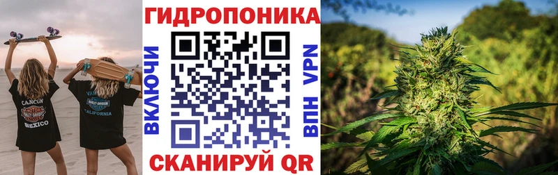 Купить закладки  Лениногорск  Бошки марихуана гибрид 